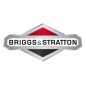 ORIGINAL BRIGGS & STRATTON Rasenmäher-Metallstift 1731894SM