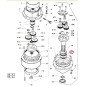 Roulement de motoculteur ORIGINAL ACTIVE modèles t143 - t152 020799