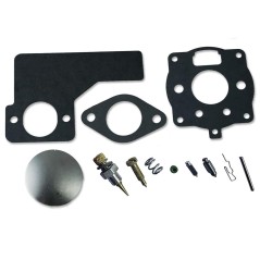 Kit de reparación del carburador del motor del tractor de césped ORIGINAL BRIGGS&STRATTON 394989 | Newgardenstore.eu