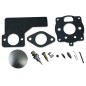 ORIGINAL BRIGGS&STRATTON lawn tractor engine carburettor repair kit 394989