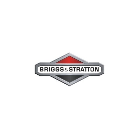 Tapón de llenado de aceite del motor del cortacésped BRIGGS & STRATTON 493668 | Newgardenstore.eu