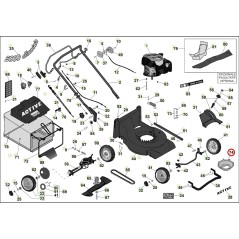 ORIGINAL ACTIVE Mulchmäher Carter Modelle 5000 - 5400 050891 | Newgardenstore.eu