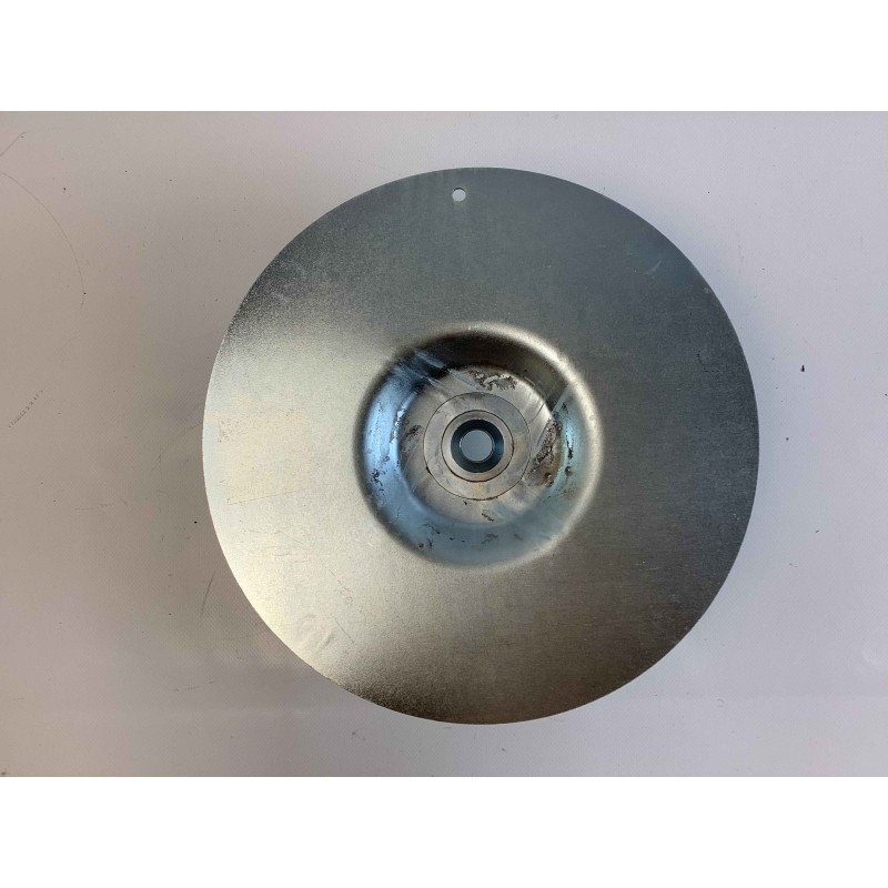ORIGINAL GIANNI FERRARI 300 mm Turbinenlaufrad PZ95049391300:Zubehö
