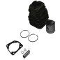 Kit cilindro e pistone ORIGINALE OLEOMAC EFCO motosega GSH560 -MTH5600 50310258A