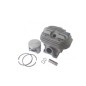 ORIGINAL OLEOMAC cylinder and piston kit for chainsaw model GSH 510 50310257