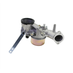 Carburettor lawn tractor engine BRIGGS side valve 11-12 HP 250700-281700 | Newgardenstore.eu