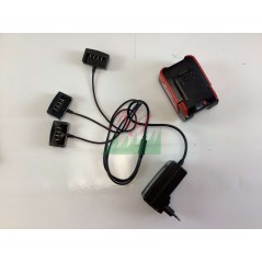 BLUE BIRD BS 22-400 400W sprayer blower, air speed 45 m/s, 3L tank | Newgardenstore.eu