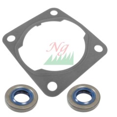 Gasket set chainsaw models MS151C-E ORIGINAL STIHL 11460071600 | Newgardenstore.eu