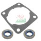 Serie guarnizioni motosega modelli MS151C-E ORIGINALE STIHL 11460071600