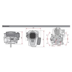 Kit motore COMPLETO con collettore e olio SAE30 LONCIN 16,5 hp ST7750 trattorino | Newgardenstore.eu