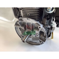 Kompletter HONDA GCV190P3 Motor 187 cc Schwungrad 25x80 mit Bremse | Newgardenstore.eu