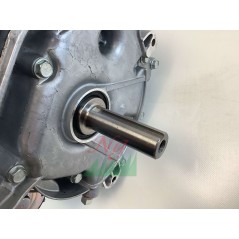 Motore completo BRIGGS & STRATTON INTEK 3130E trattorino 25x80 13,5 hp SOSTITUTIVO | Newgardenstore.eu