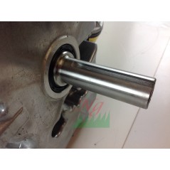 Motore COMPLETO per trattorino rasaerba VANGUARD 21 Hp 627 cc bicilindrico GIANNI FERRARI | Newgardenstore.eu