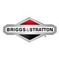 Molla tendicinghia trattorino tagliaerba ORIGINALE BRIGGS & STRATTON 165X130MA