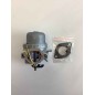 BRIGGS & STRATTON carburateur moteur compatible 799728