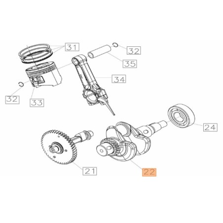 Cigüeñal generador modelos PGE23iS ORIGINAL EMAK L66152500 | Newgardenstore.eu