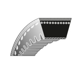 Cortacésped de correa trapezoidal 52-186 CASTELGARDEN
