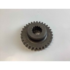 Rear PTO Gear ORIGINAL GOLDONI 00066456 | Newgardenstore.eu