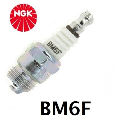NGK spark plug 2-stroke engine brushcutter hedge trimmer BM6F 240204 | Newgardenstore.eu