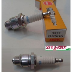 NGK spark plug lawn mower engine BR6HS 240233