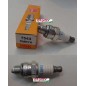 Candela NGK motore rasaerba tosaerba tagliaerba CMR7A 240228