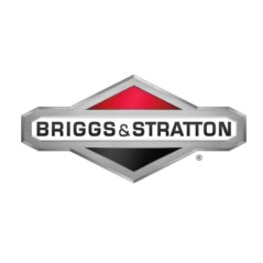 Cacciavite grosso ORIGINALE BRIGGS & STRATTON 19062