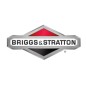 Cacciavite grosso ORIGINALE BRIGGS & STRATTON 19062