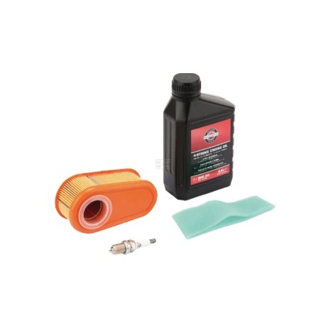 Kit manutenzione trattorino rasaerba ORIGINALE BRIGGS & STRATTON 800 850 875 | Newgardenstore.eu