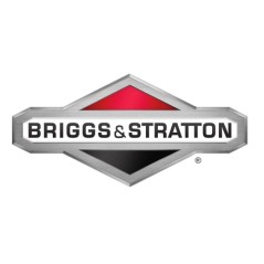 Terminale ORIGINALE BRIGGS & STRATTON 281223