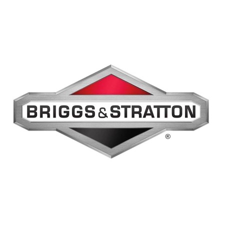 Terminale ORIGINALE BRIGGS & STRATTON 281223 | Newgardenstore.eu