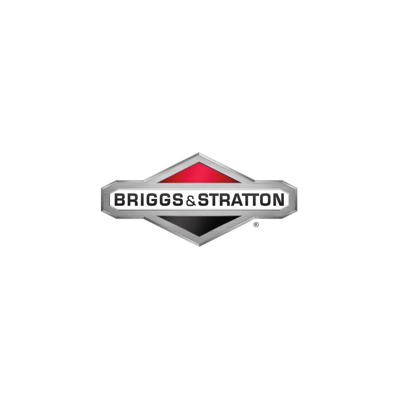 Guarnizione sfiato ORIGINALE BRIGGS & STRATTON 27549S