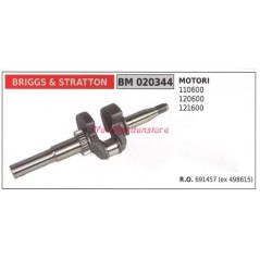 BRIGGS&STRATTON motor shaft BRIGGS&STRATTON lawn mower motor 110600 020344 | Newgardenstore.eu