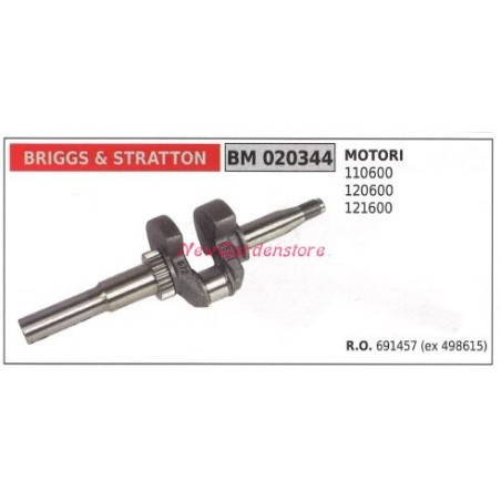 BRIGGS&STRATTON Motorwelle BRIGGS&STRATTON Rasenmähermotor 110600 020344 | Newgardenstore.eu