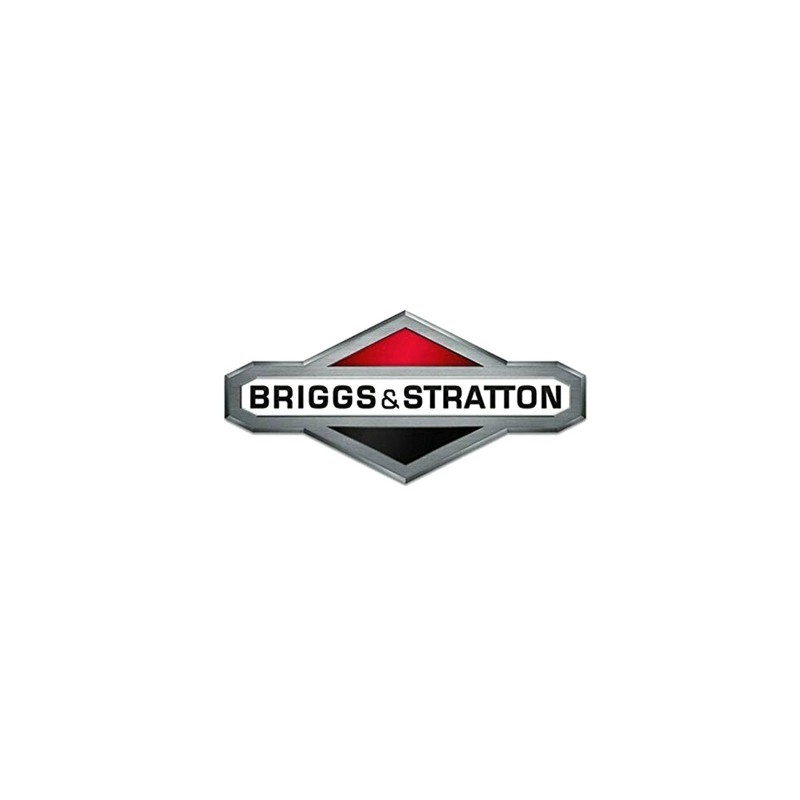 Volano ORIGINALE BRIGGS & STRATTON 591759