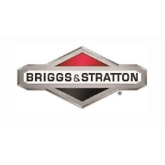 Convogliatore ORIGINALE BRIGGS & STRATTON 591656 | Newgardenstore.eu