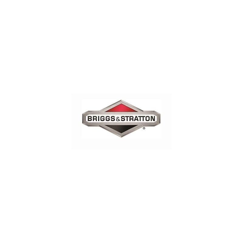 Molla regolatore ORIGINALE BRIGGS & STRATTON 591497