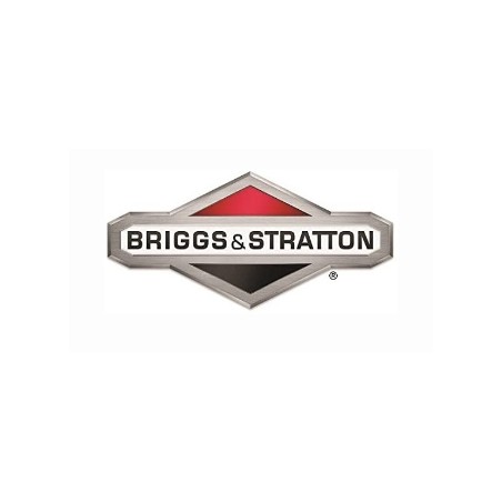 Molla regolatore ORIGINALE BRIGGS & STRATTON 591497 | Newgardenstore.eu