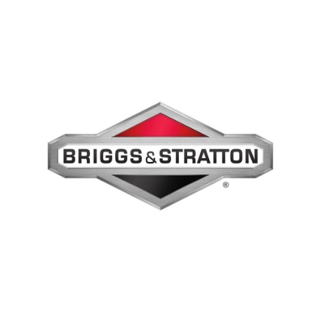 Collettore aspirazione ORIGINALE BRIGGS & STRATTON 592845 | Newgardenstore.eu