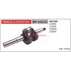 BRIGGS&STRATTON Motorkurbelwelle Rasenmähermotor 11P000 026231 | Newgardenstore.eu