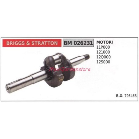 Vilebrequin moteur BRIGGS&STRATTON tondeuse à gazon 11P000 026231 | Newgardenstore.eu