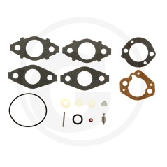 KIT MANUTENZIONE CARB.EX 696998