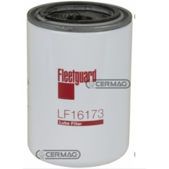 FILTRO OLIO FDLF16173 | Newgardenstore.eu