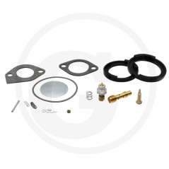 KIT CARBURAT EX299852 8 11 12 HP VE | Newgardenstore.eu