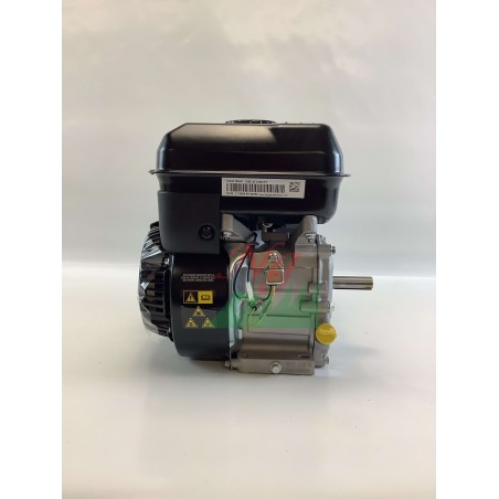 Kompletter Einzylindermotor BRIGGS & STRATTON 163cc 5Hp mit horizontaler Welle