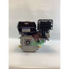 Complete single-cylinder BRIGGS & STRATTON 163cc 5Hp horizontal shaft engine | Newgardenstore.eu