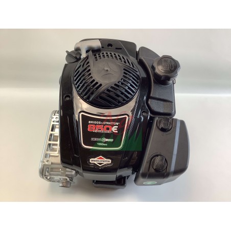 Motor completo BRIGGS & STRATTON 190cc eje vertical arranque por retroceso | Newgardenstore.eu