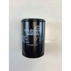 Engine oil filter models CHD LDW ORIGINAL GOLDONI 06340452 | Newgardenstore.eu