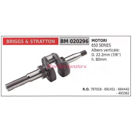 BRIGGS&STRATTON arbre de moteur de tondeuse à gazon 650 020296 | Newgardenstore.eu