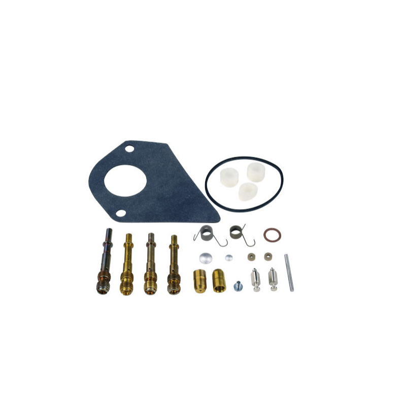 Kit de révision carburateur BRIGGS & STRATTON moteur 286700, 28N700, 196700