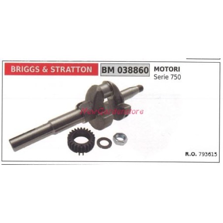 BRIGGS&STRATTON drive shaft BRIGGS&STRATTON engine lawn mower 750 038860 | Newgardenstore.eu